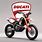 Ducati 250 Motocross