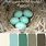 Duck Egg Green Color