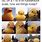 Duck Life Memes