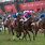 Durban July Horse Race