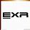 EXR Logo