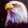 Eagle Oil Painting