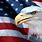 Eagle Wallpaper with Flag