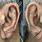 Ear Lobe Crease Sign