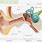Ear and Brain Anatomy