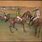 Edgar Degas Race Horses