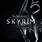 Elder Scrolls V Skyrim Cover