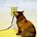 Electrical Shock Cat