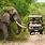 Elephant Safari South Africa