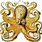 Ernst Haeckel Octopus