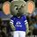 Everton Mascot
