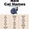 Exotic Cat Names for Boys
