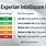 Experian Credit Score Rating Chart