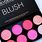 Eyeshadow Blush Palette