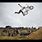 FMX BMX