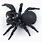 Female Mouse Spider