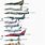 Fighter Jet Size Comparison Chart