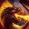 Fire Dragon Images Cool