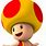 Fire Toad Mario