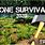 First Person Survival Games