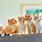 Five Cute Cats