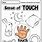 Five Senses Touch Worksheet