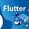 Flutter Mobile