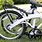 Folding E-Bikes with Shimano Nexus Hub