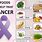 Foods That Prevent Cancer