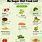 Foods with No Sugar List