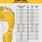 Foot Measurement Shoe Size Chart