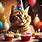 Free Happy Birthday Images with Cats