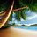 Free Wallpaper Beaches Caribbean