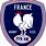 French Rugby Badge