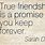 Friends Promise