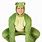 Frog Costume