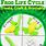 Frog Life Cycle for Kids Craft