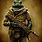 Frog Soldier