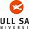 Full Sail Uni
