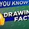 Fun Facts Drawing