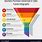 Funnel Infographic