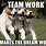 Funny Animal Teamwork Meme