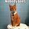 Funny Cat Litter Box Memes