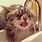 Funny Cat in Bath