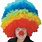 Funny Clown Wig