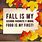 Funny Fall Quotes Autumn