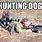Funny Hunting Dog Memes
