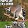 Funny Lemur Memes