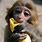Funny Monkey with Banana