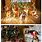 Funny Pet Christmas Memes